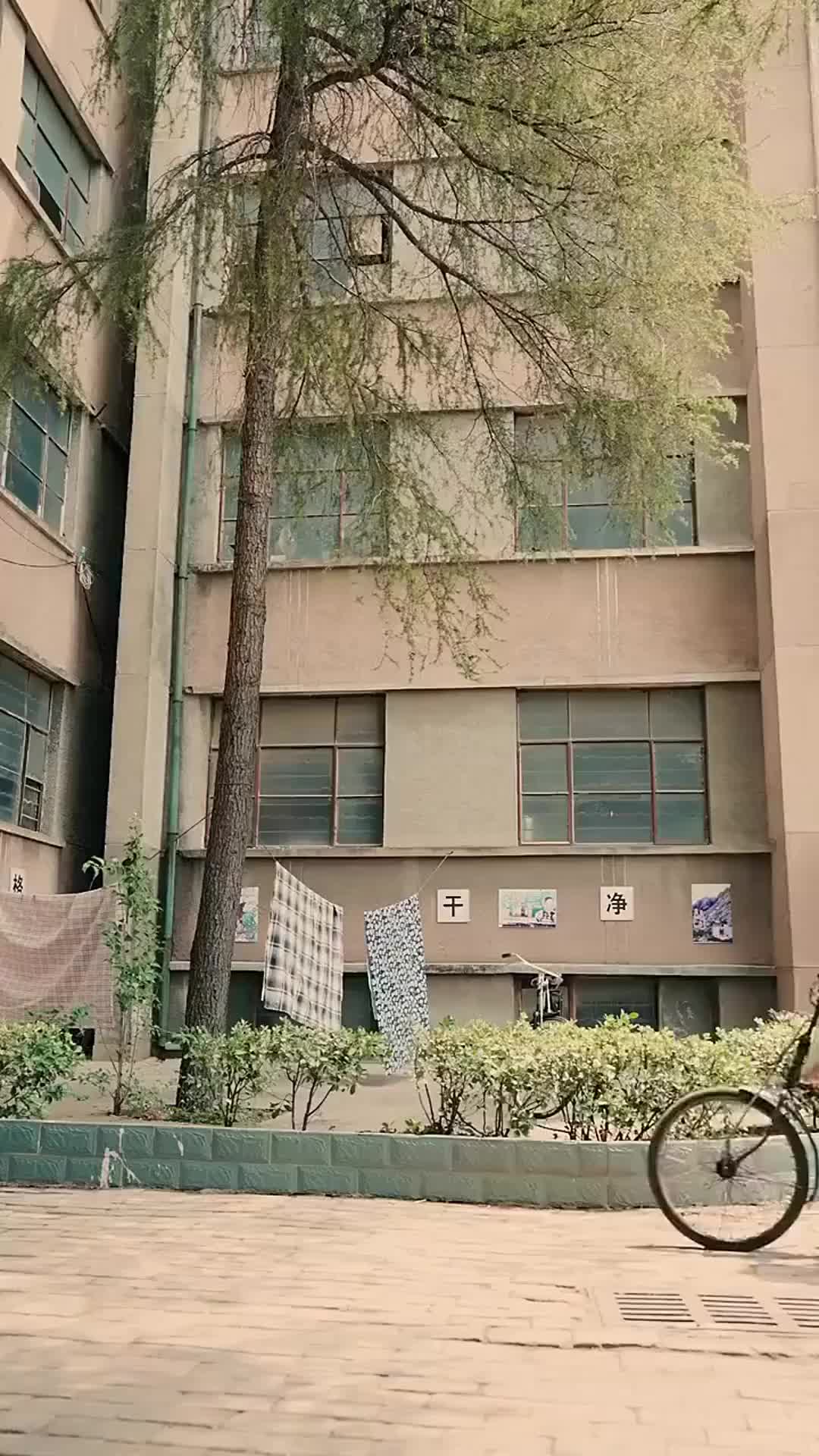 Bölüm 62