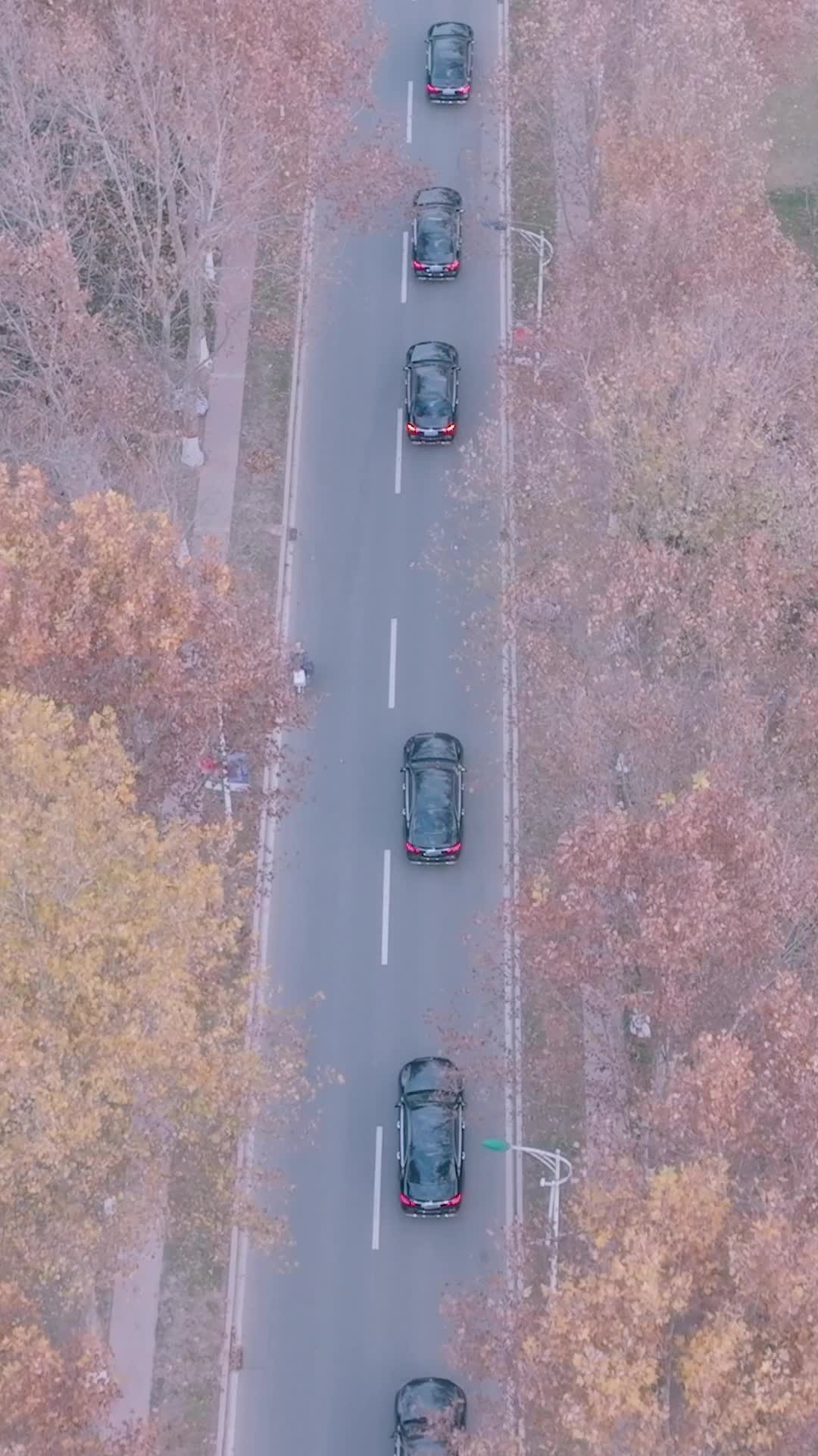 Bölüm 75