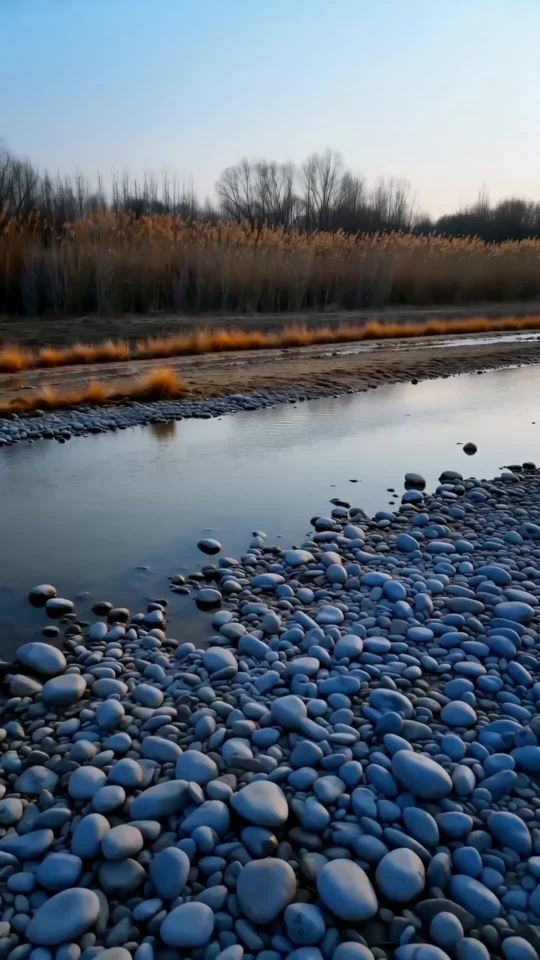 Bölüm 24