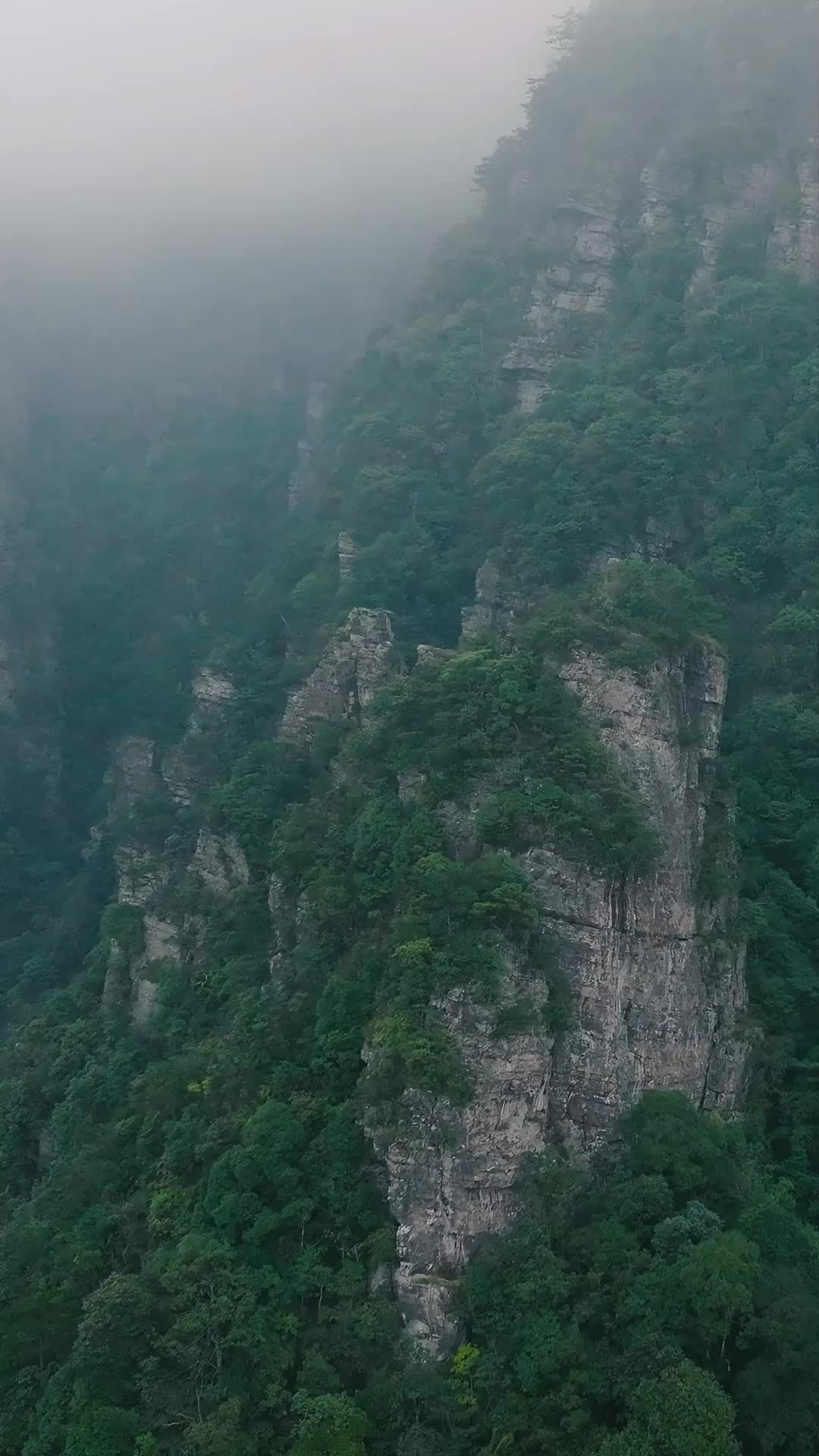 Bölüm 1