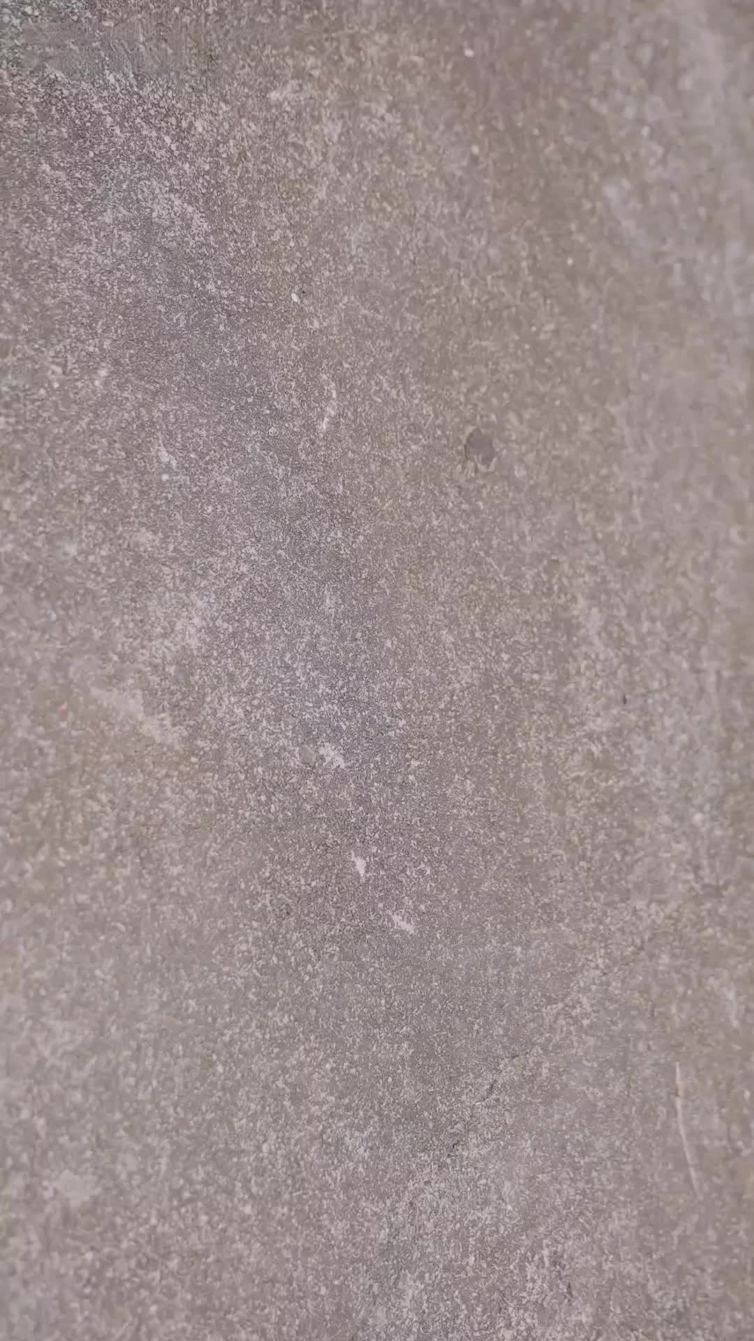 Bölüm 65