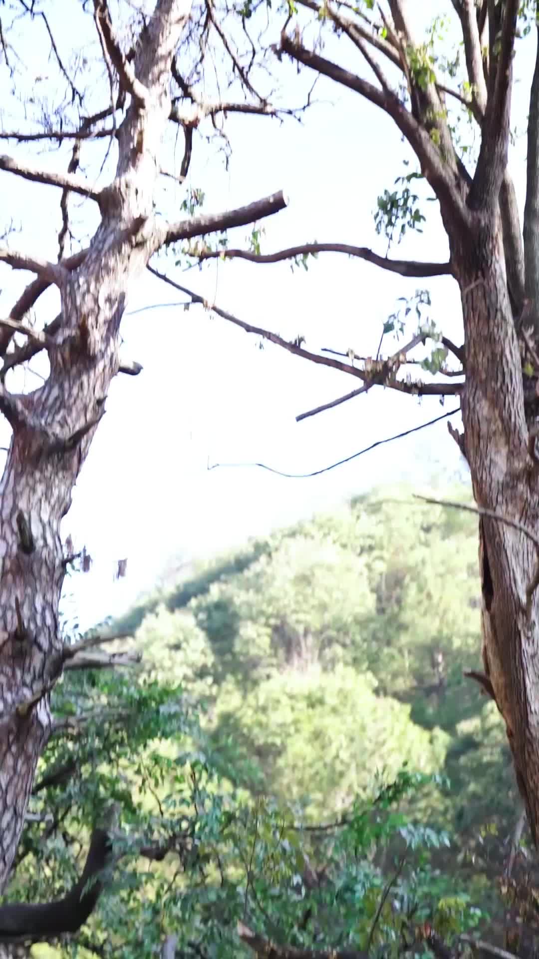 Bölüm 9