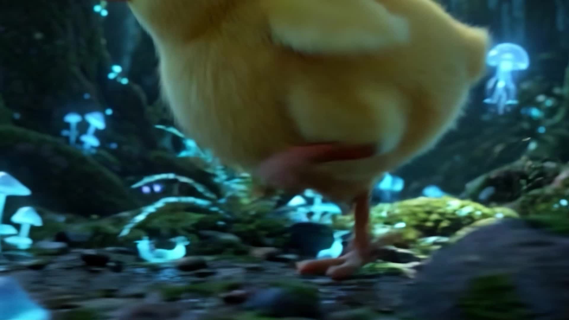 Bölüm 5