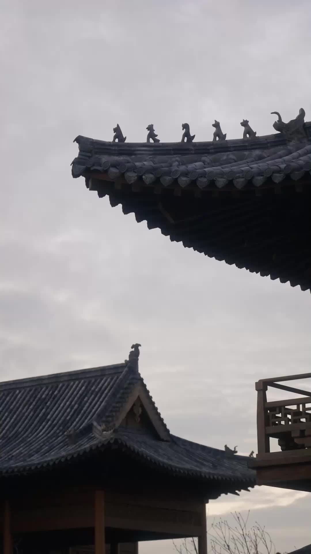 Episode 51