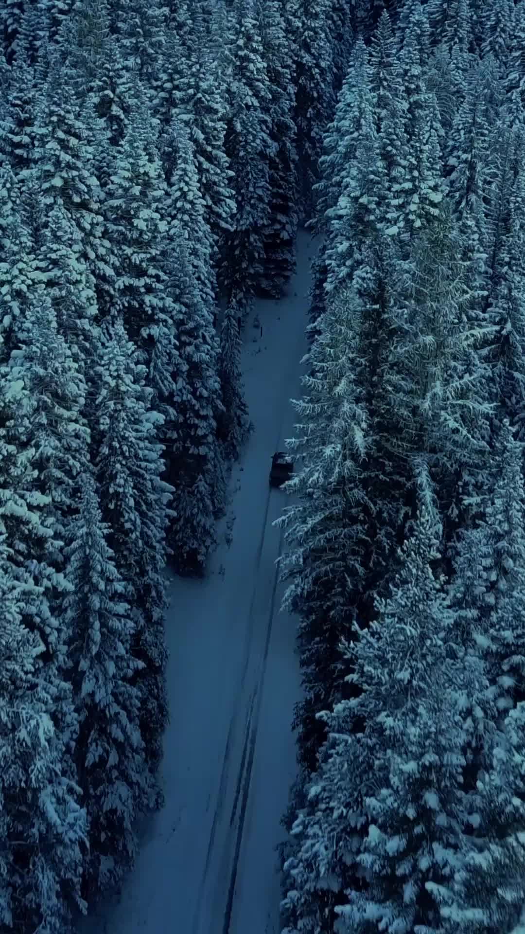 Bölüm 1