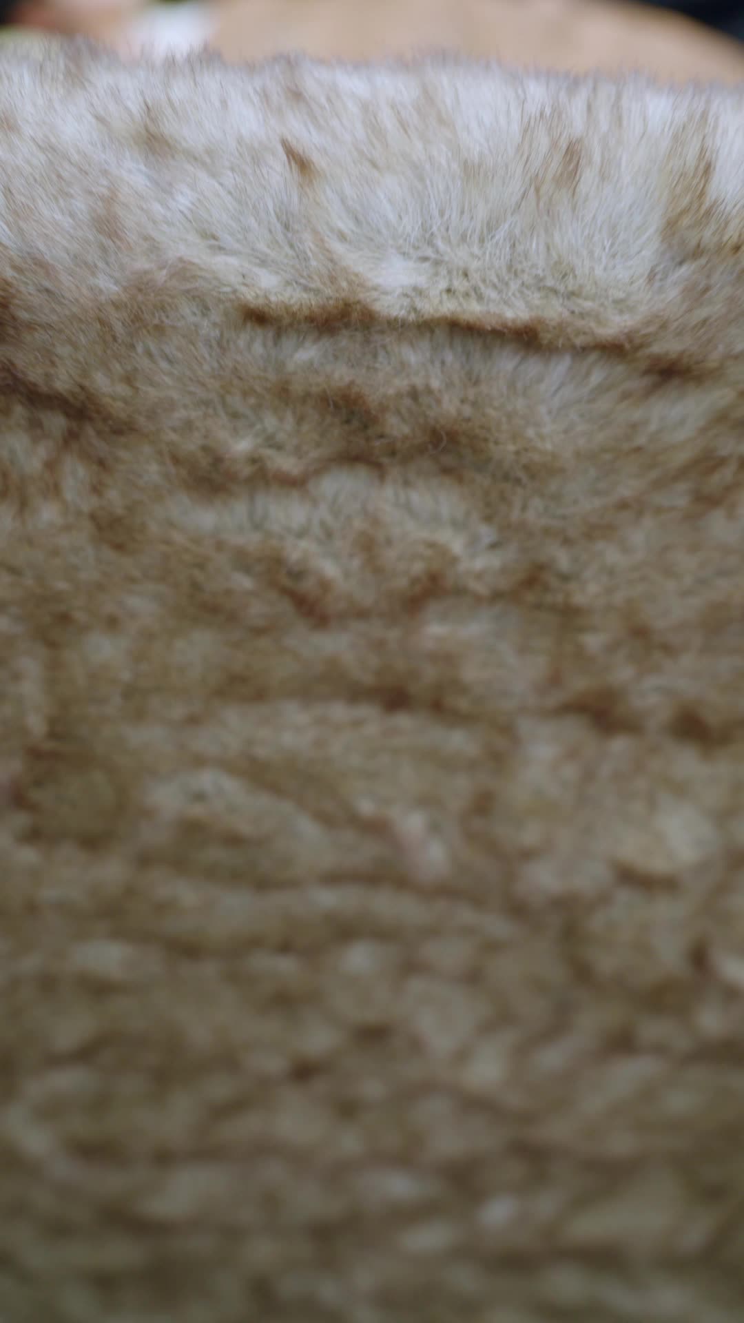 Bölüm 14