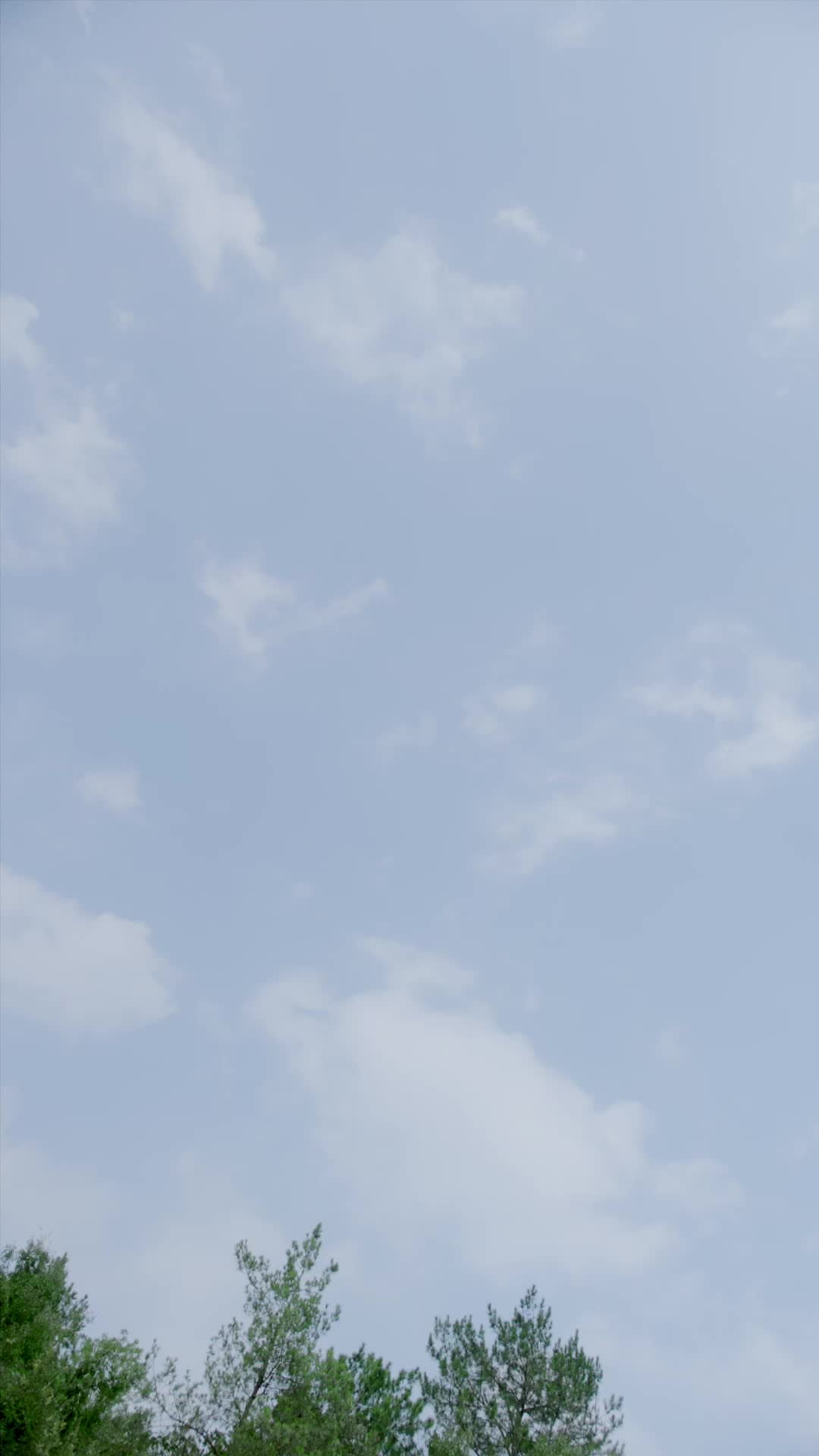 Bölüm 20