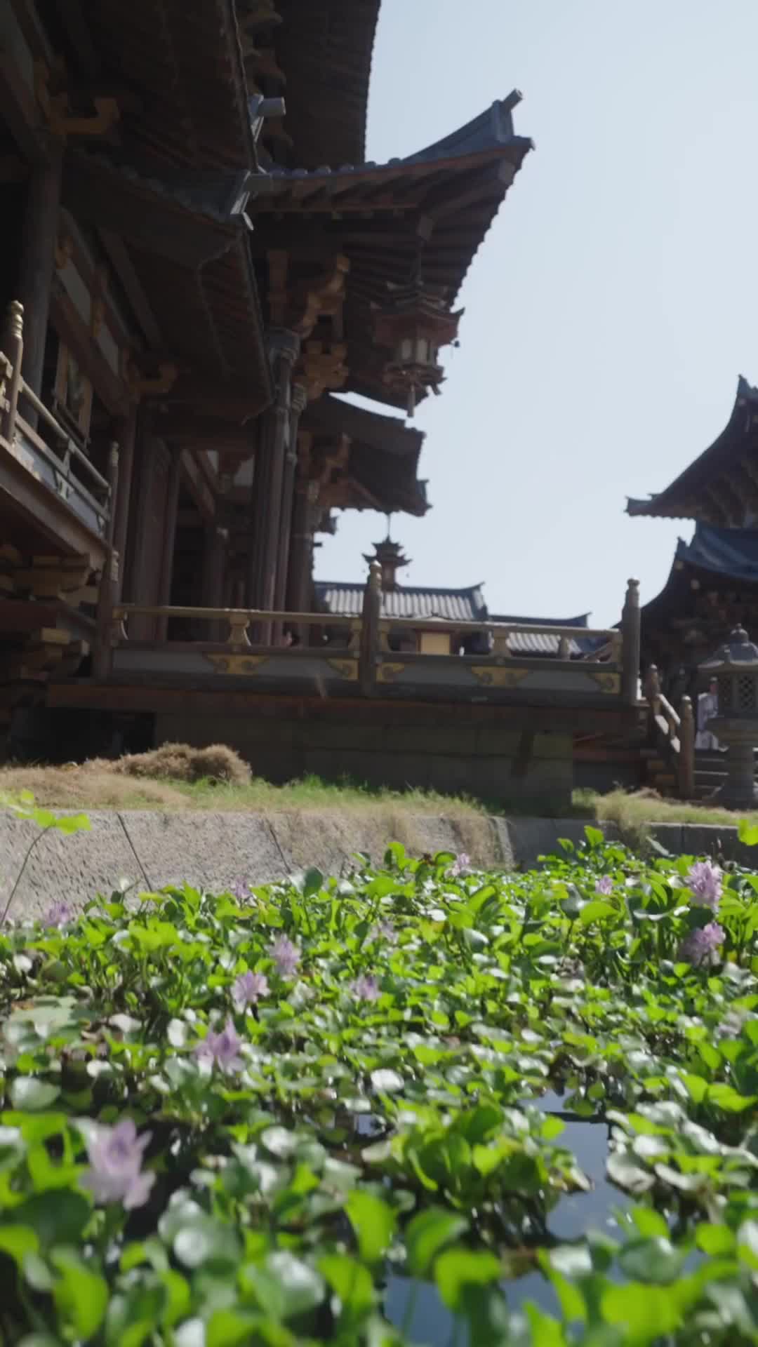 Episode 45