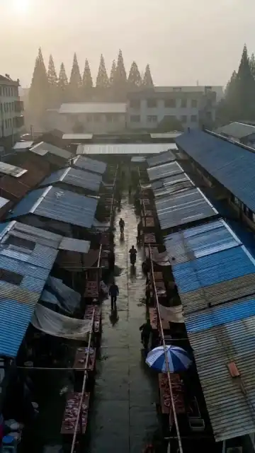 초심불변, 화려한 역전 5화