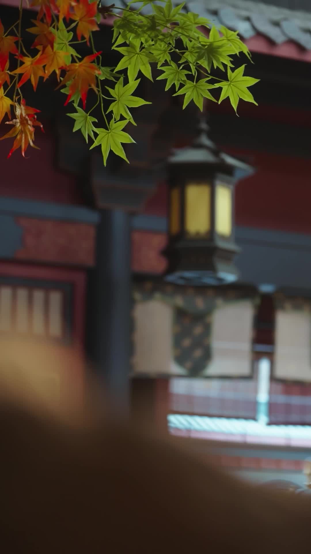Episode 26