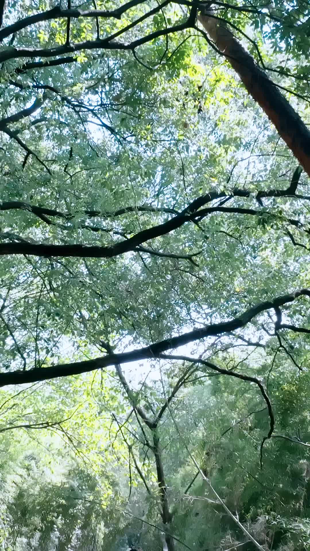 Bölüm 43
