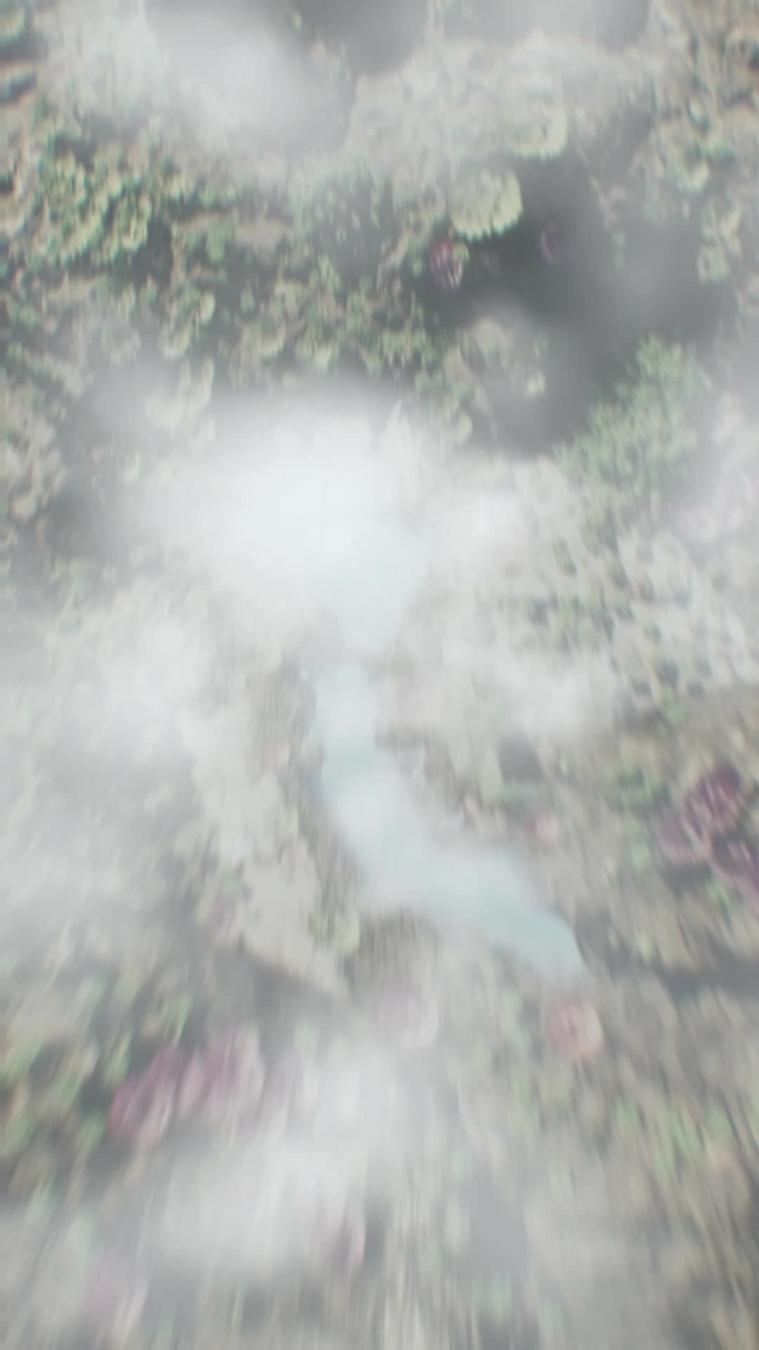 The Forsaken's Revenge