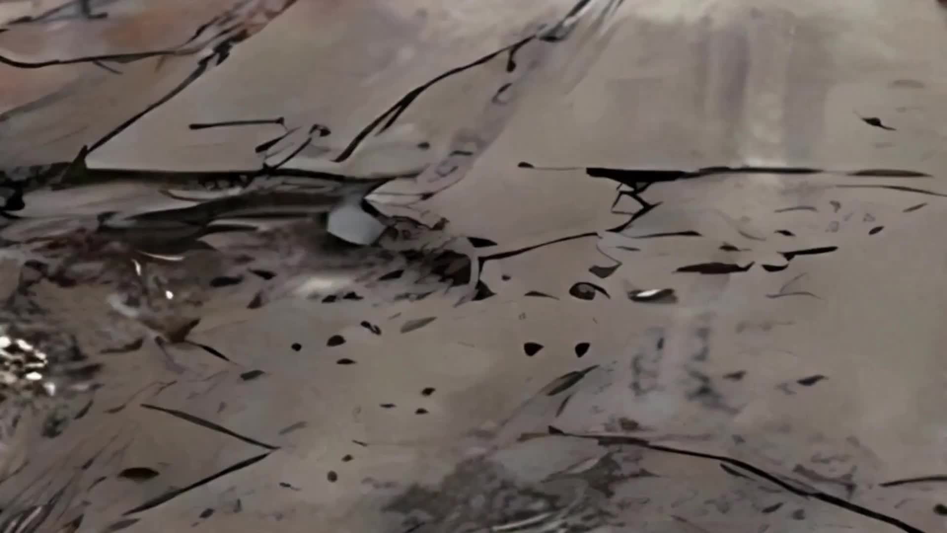 Bölüm 65