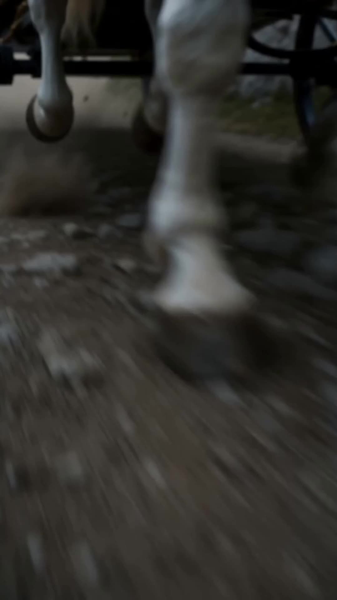 Bölüm 1