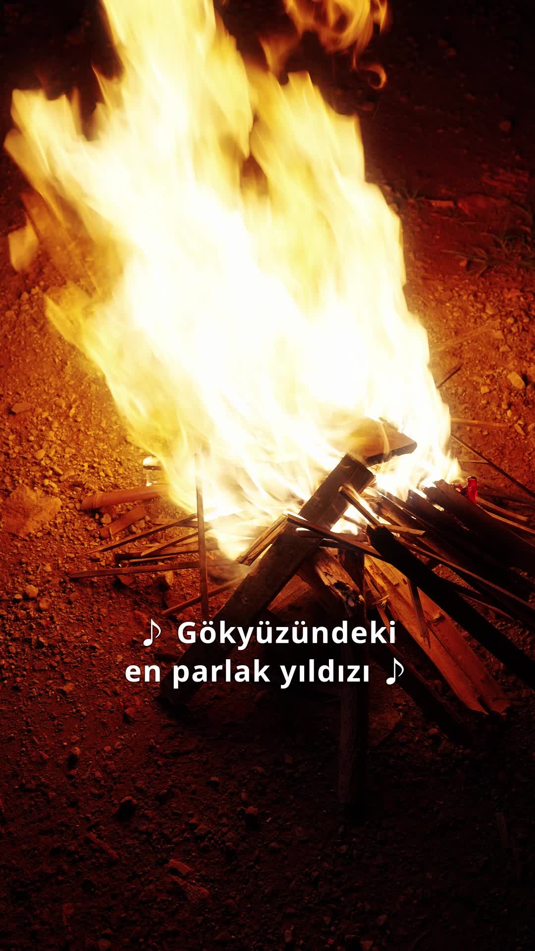 Bölüm 21