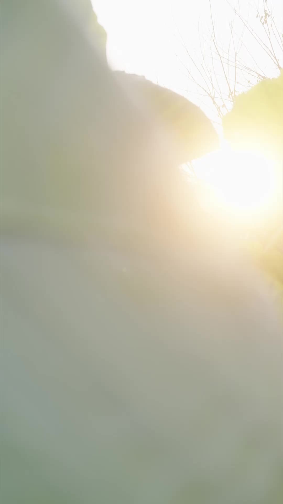 Bölüm 10