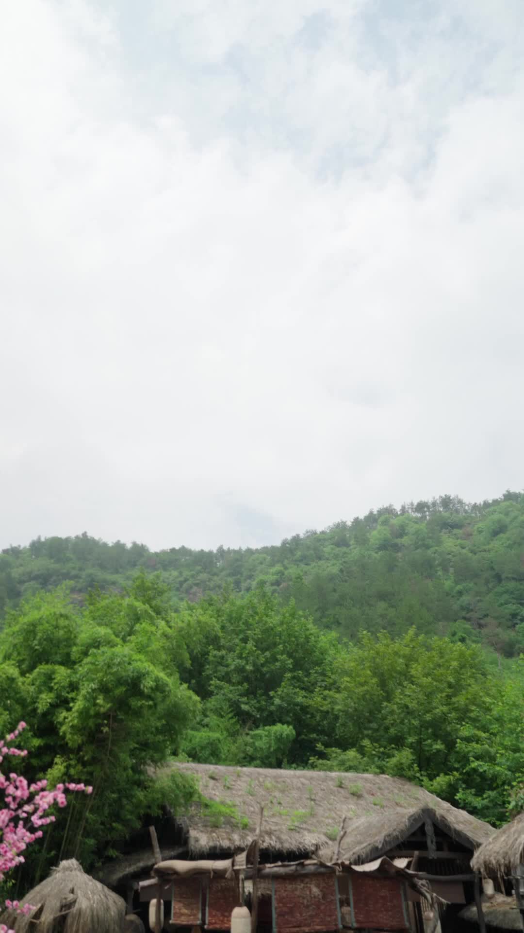 Bölüm 1