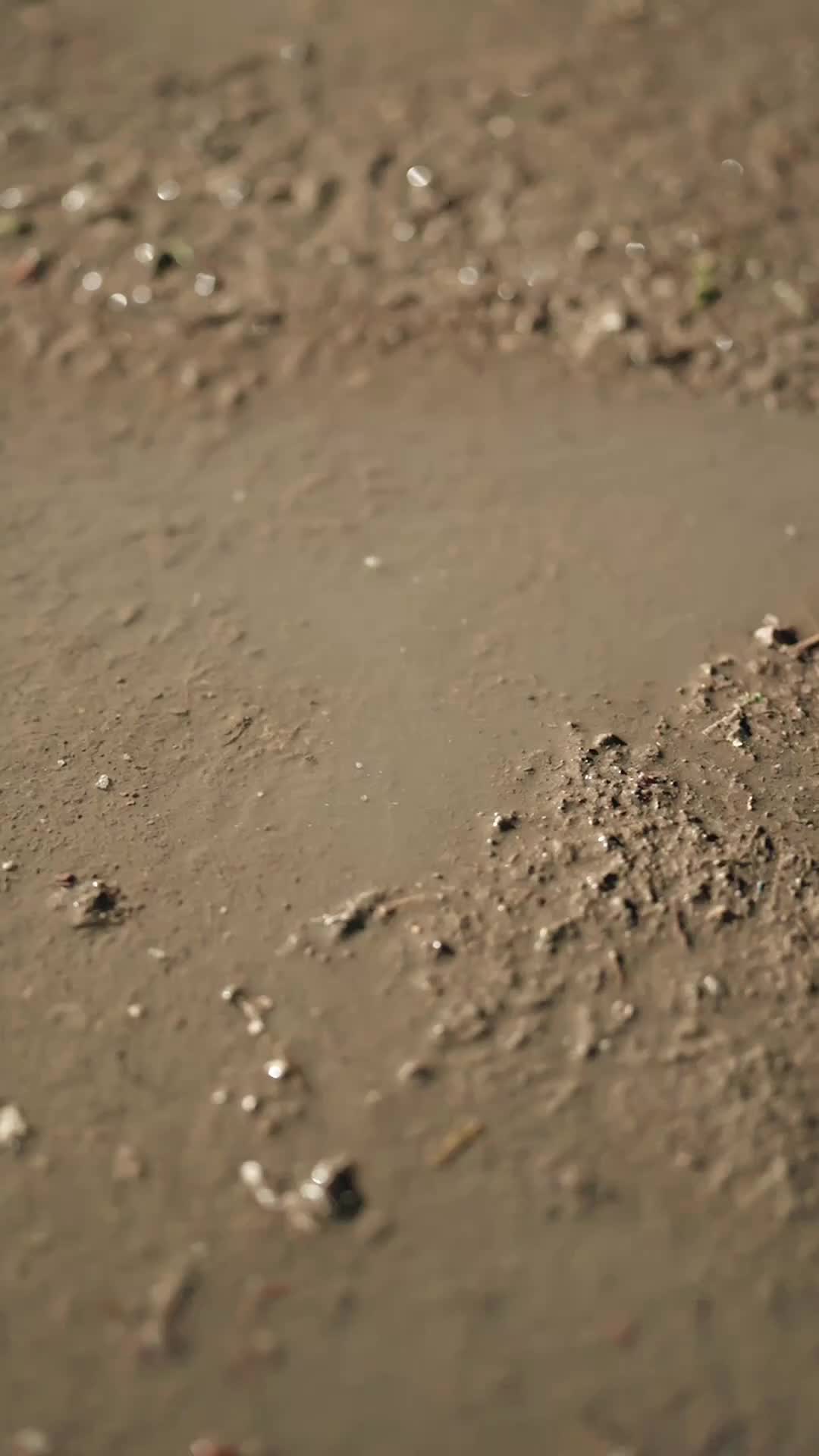 Bölüm 66