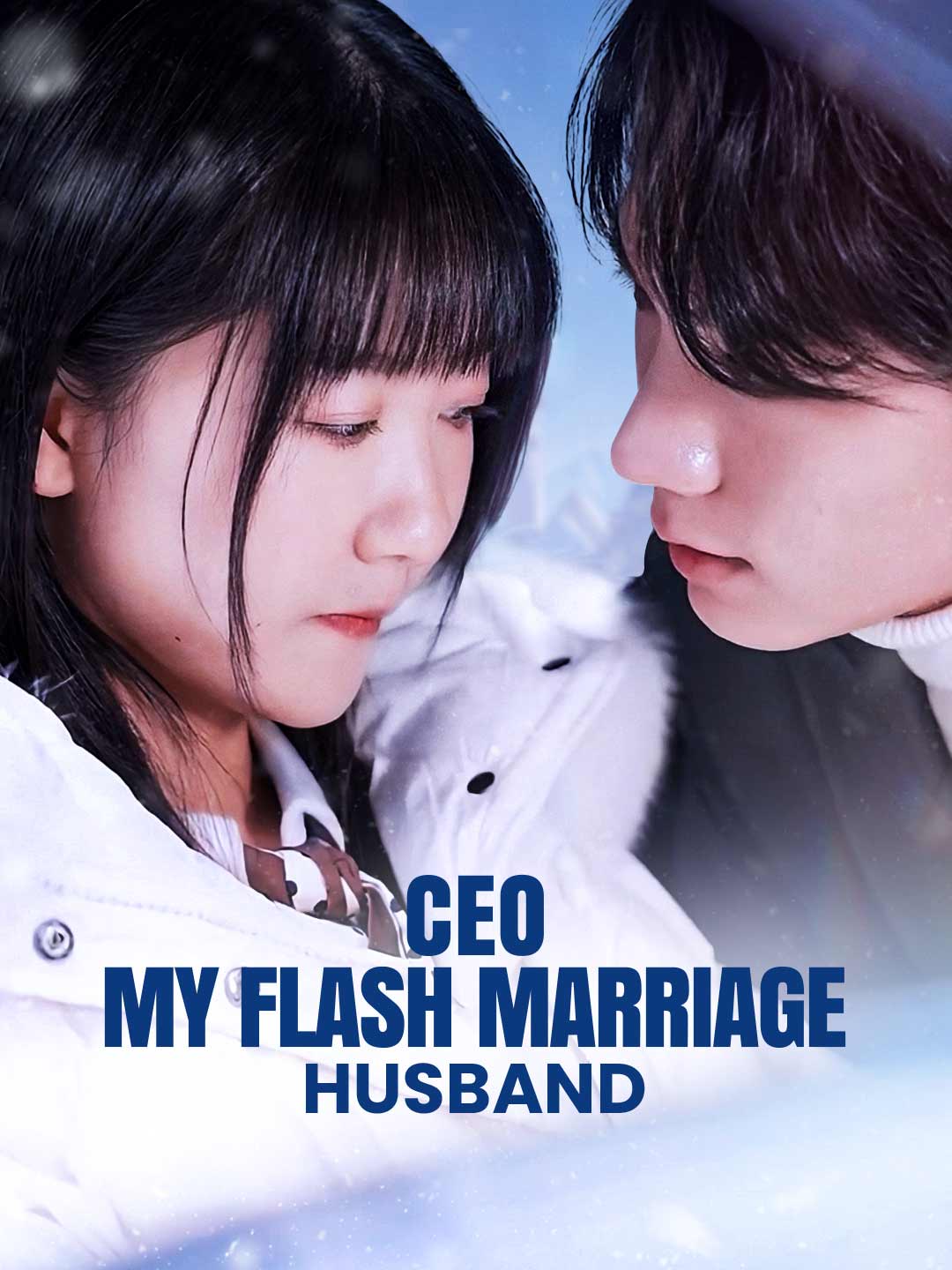 CEO: My Flash Marriage Husband cover art