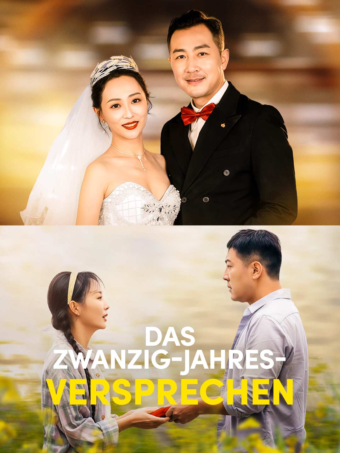 Das Zwanzig-Jahres-Versprechen cover