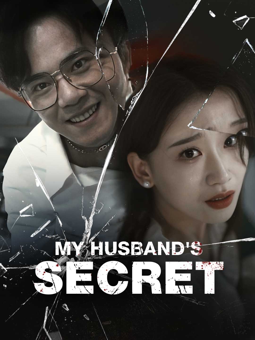 My Husband's Secret cover art
