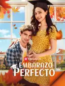 Embarazo Perfecto cover art