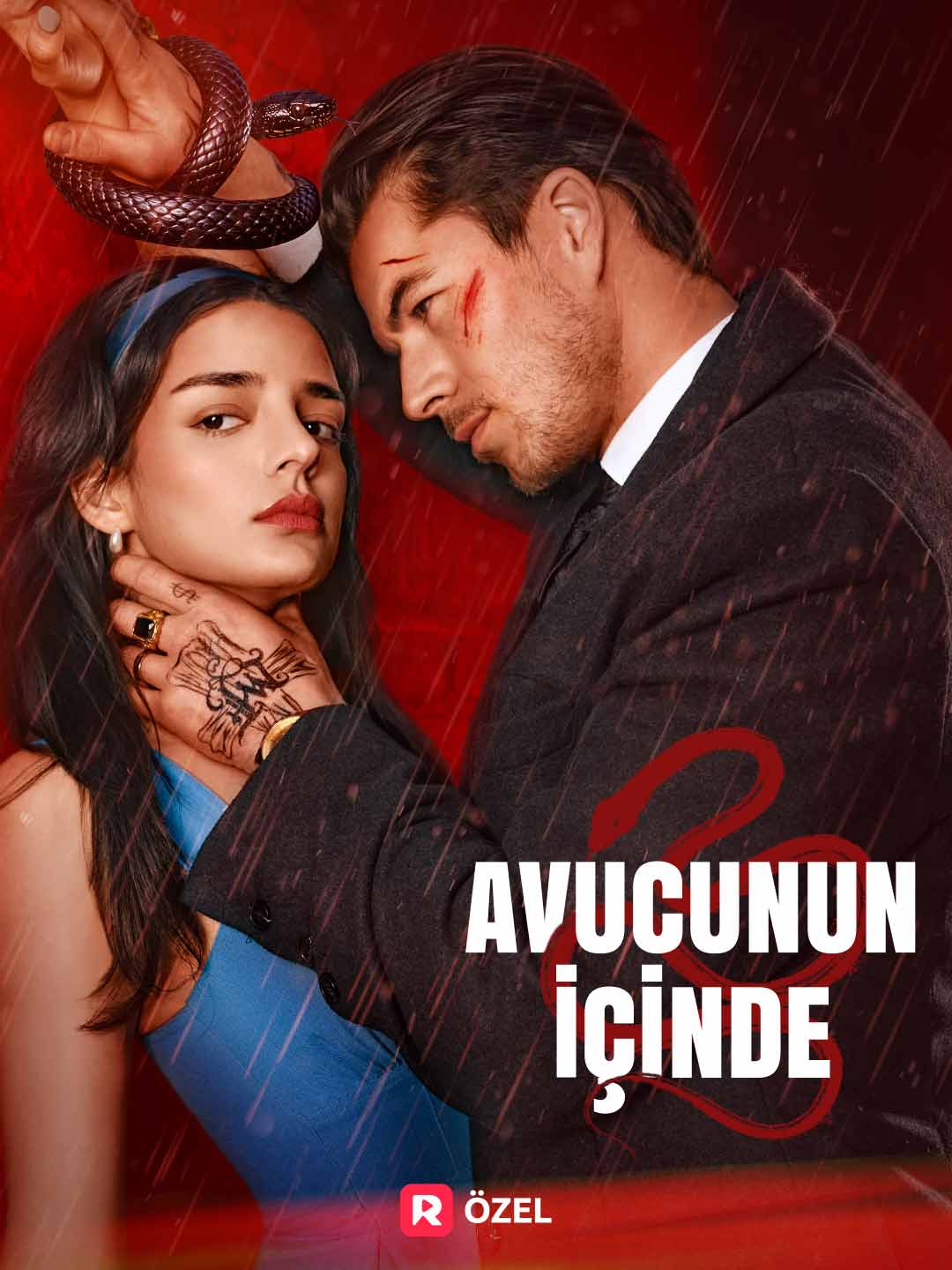 Avucunun İçinde