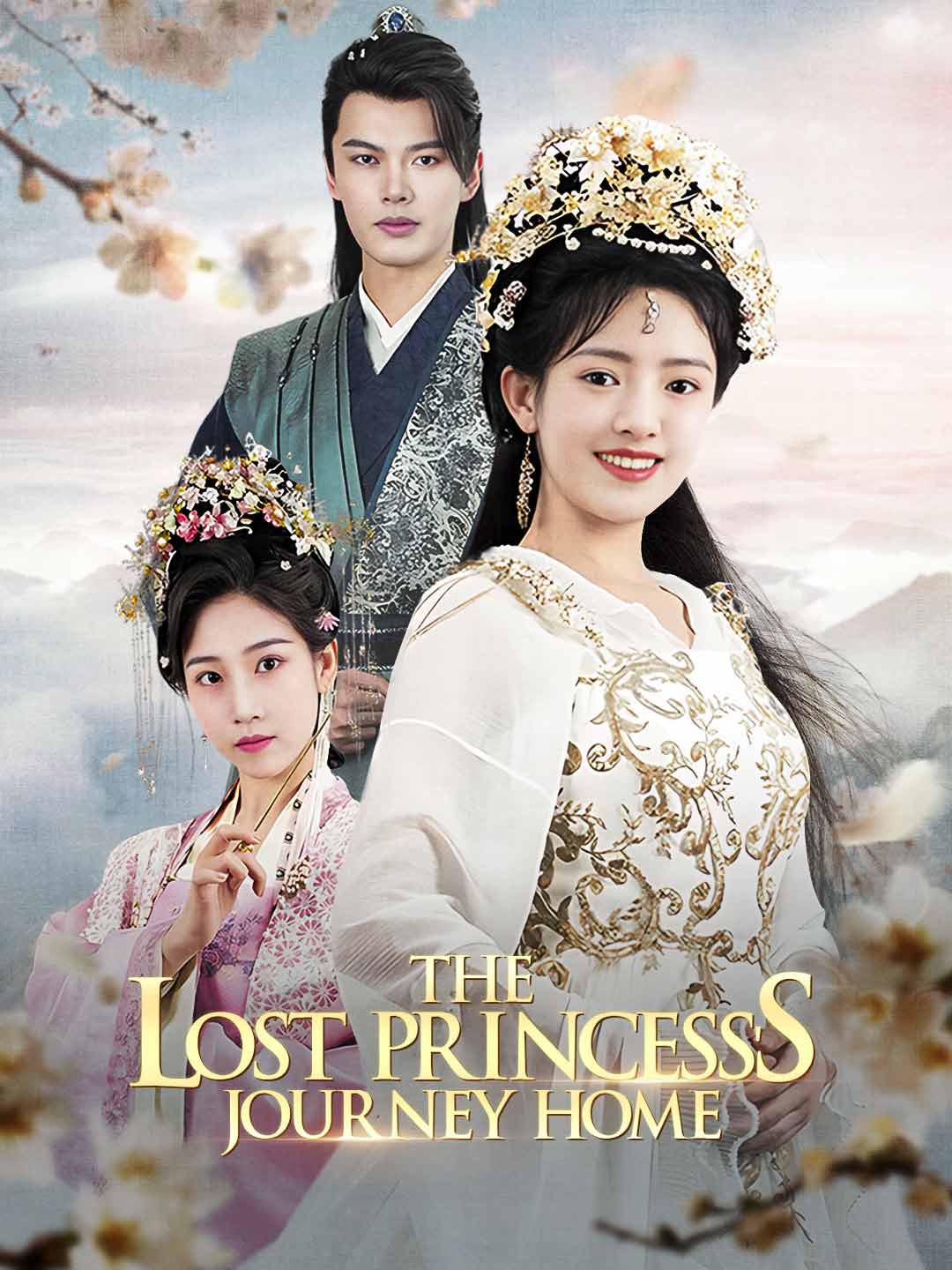The Lost Princess's Journey Home cover art