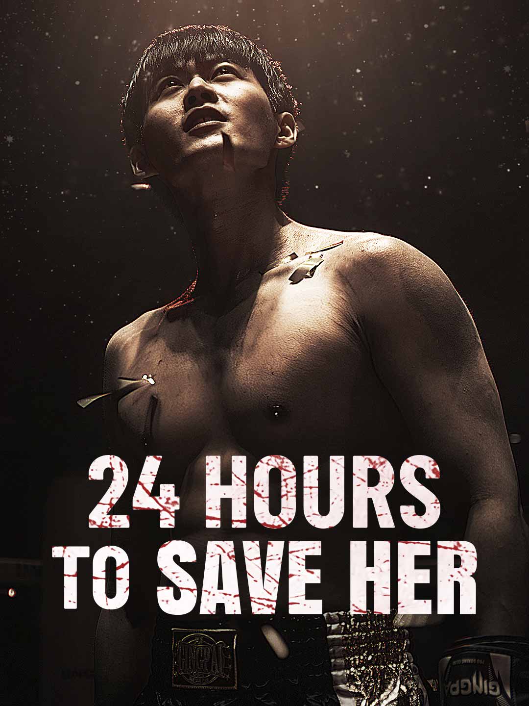 24 Hours to Save Her cover art