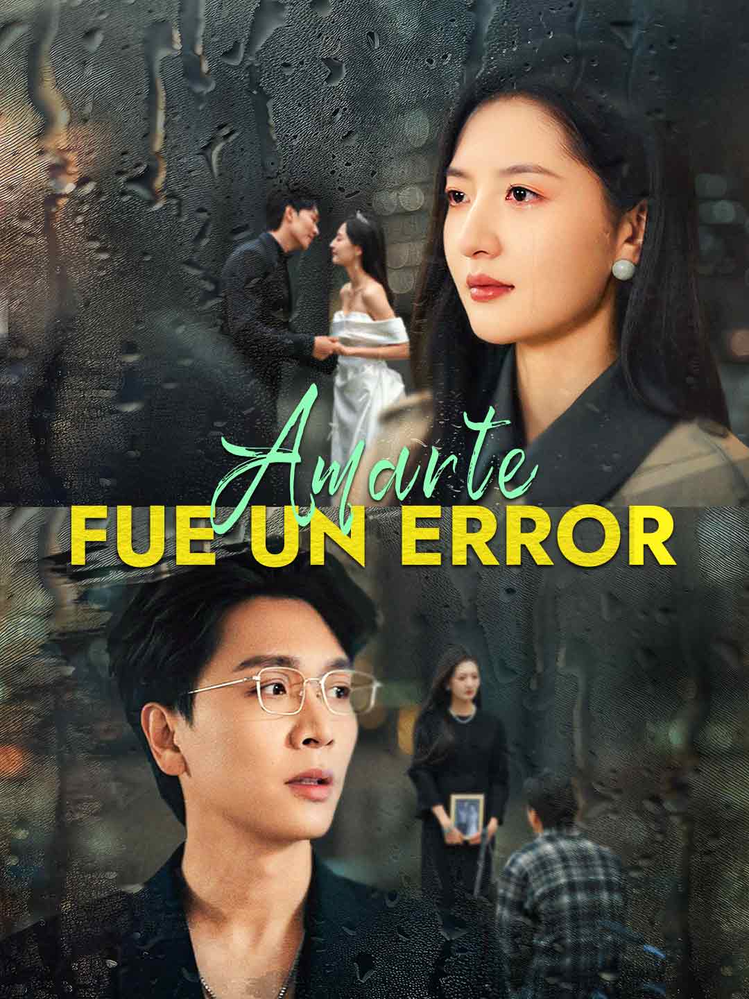 Amarte fue un error cover art