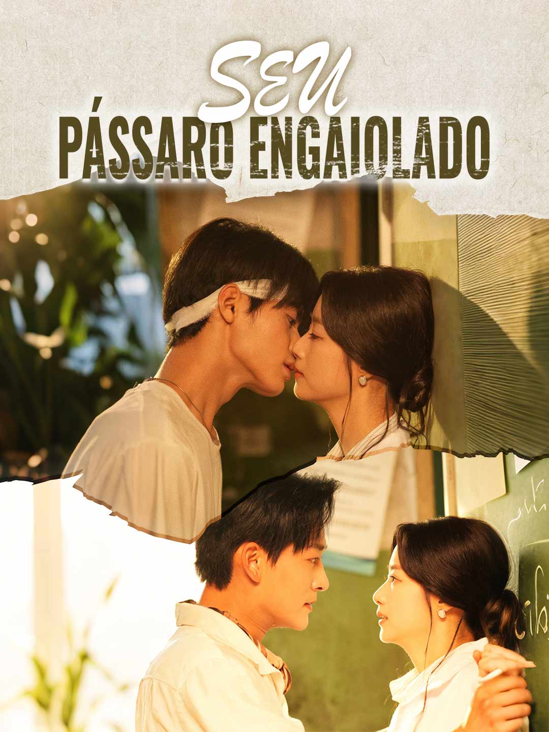 Seu Pássaro Engaiolado cover art