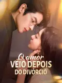 O amor veio depois do divórcio cover art