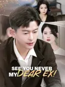 See You Never, My Dear Ex! cover art