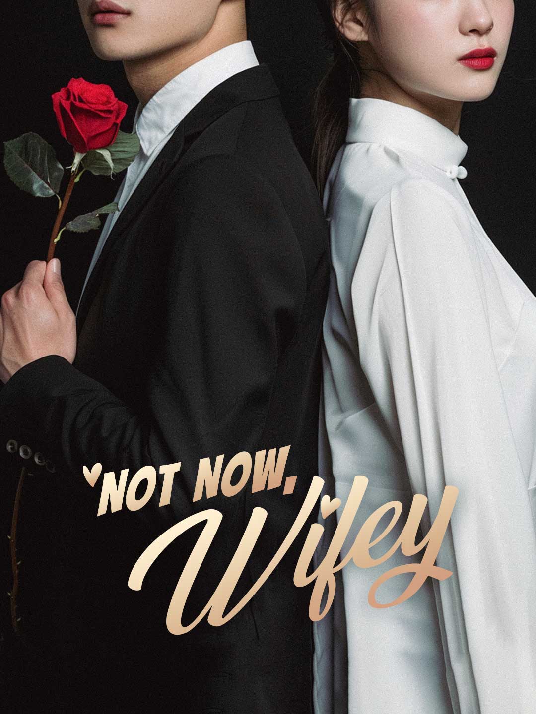 Not Now, Wifey cover art