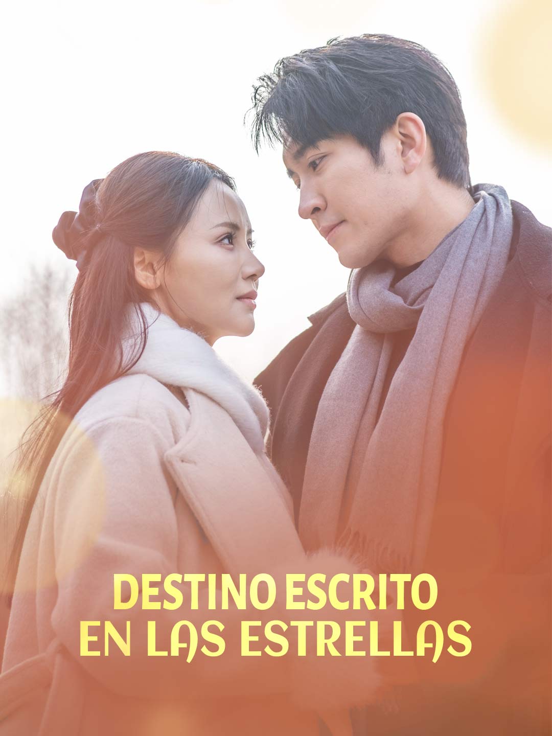 Destino escrito en las estrellas cover art