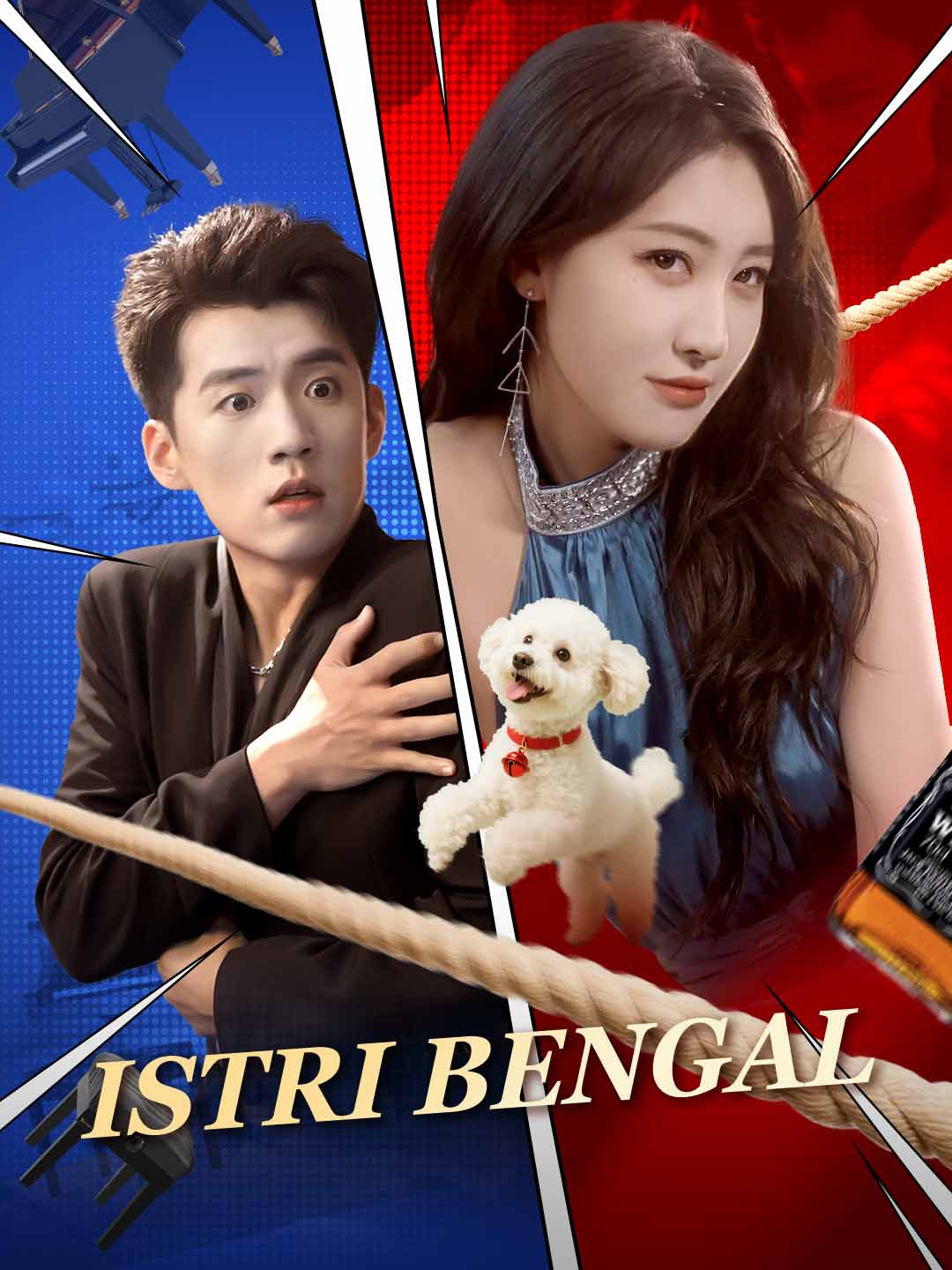 Istri Bengal cover art