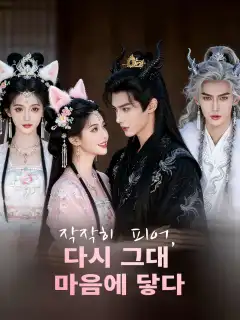 작작히 피어,  다시 그대 마음에 닿다