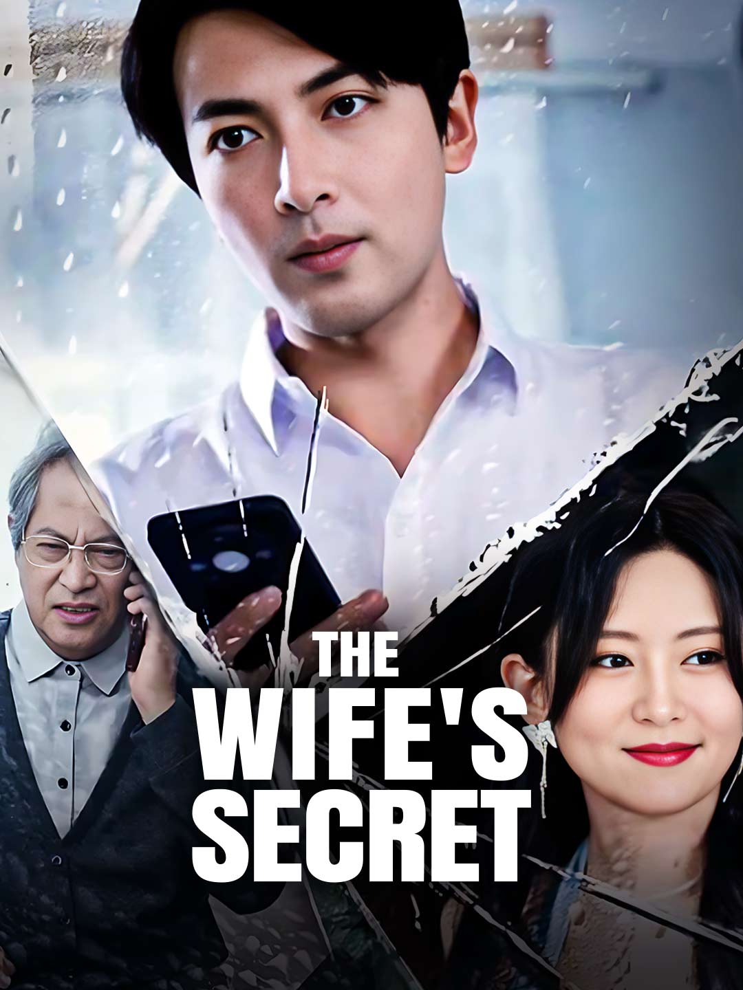 The Wife's Secret cover art