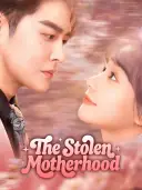 The Stolen Motherhood cover art