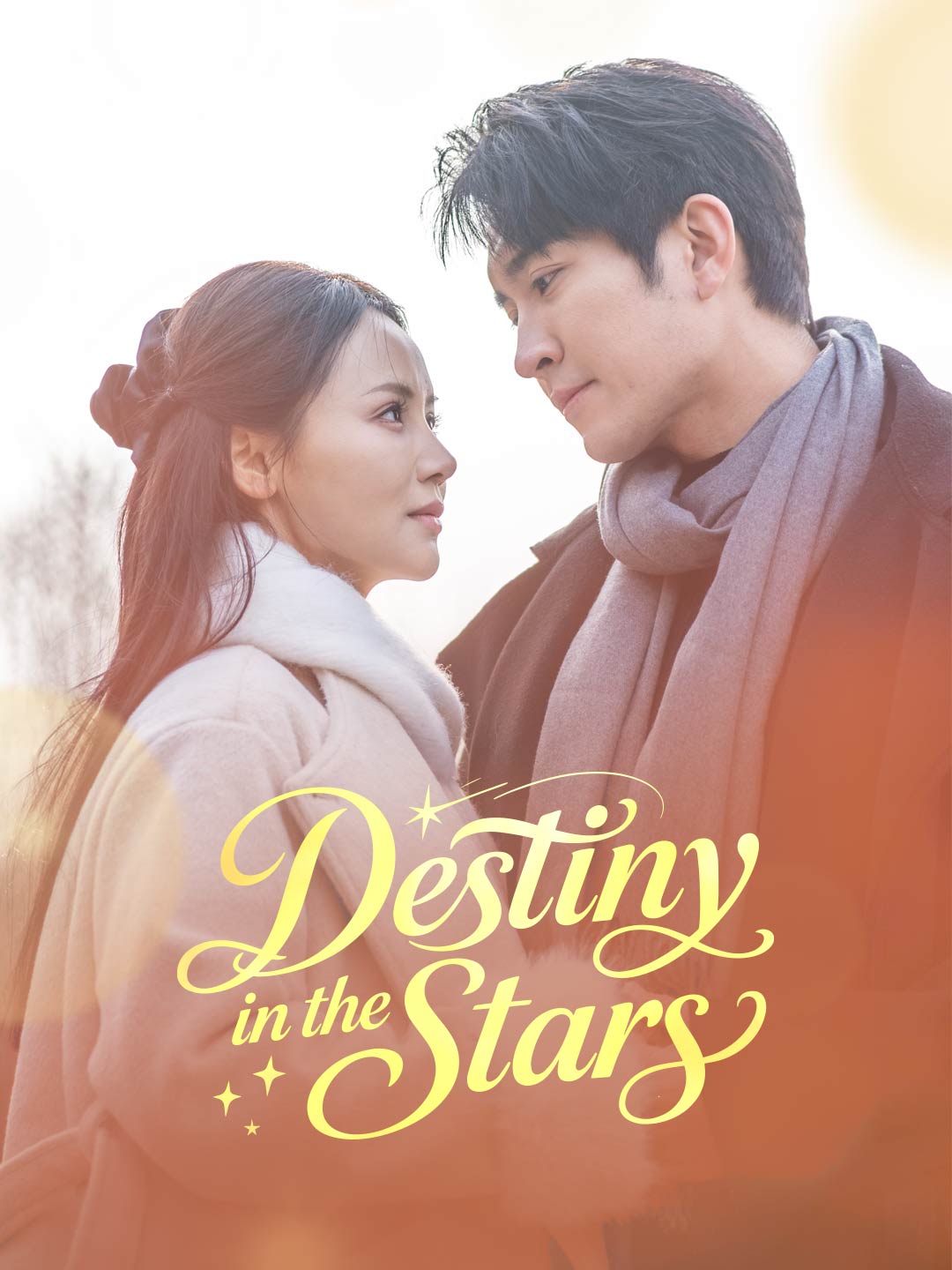 Destiny in the Stars cover art