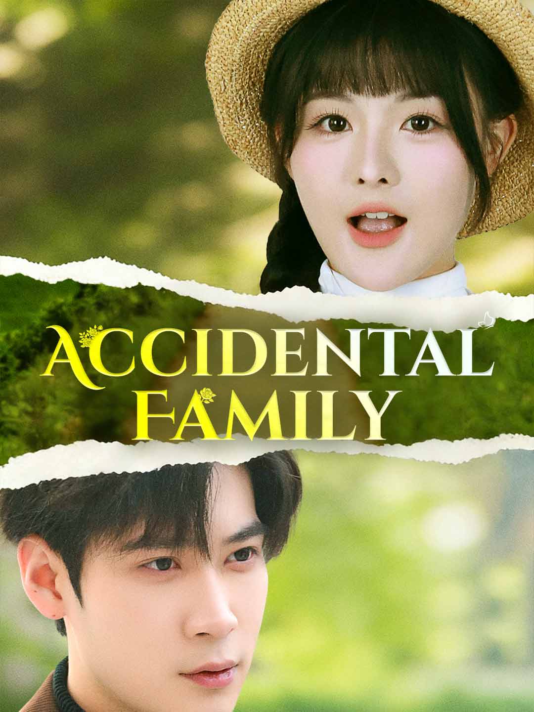 Accidental Family cover art