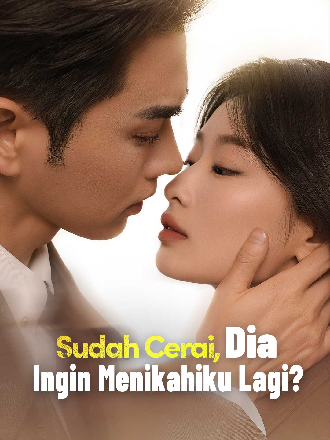 Sudah Cerai, Dia Ingin Menikahiku Lagi? cover art