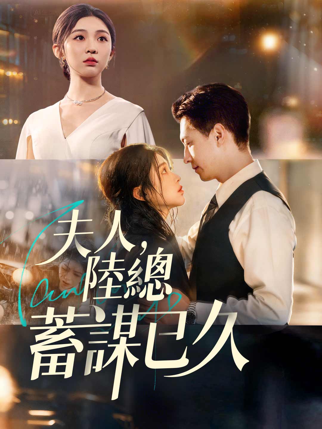 夫人，陸總蓄謀已久