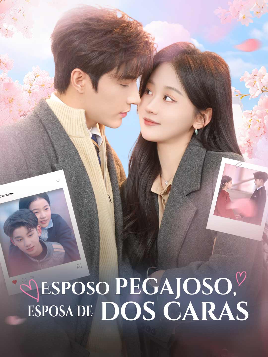 Esposo pegajoso, esposa de dos caras cover art