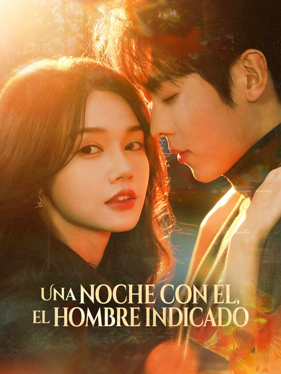 Una noche con él, el hombre indicado cover art