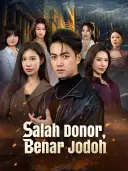 Salah Donor, Benar Jodoh cover art