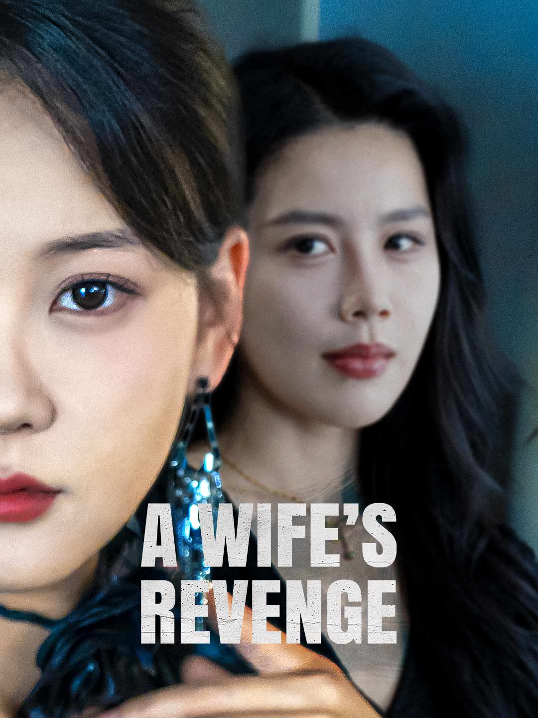 A Wife's Revenge cover art