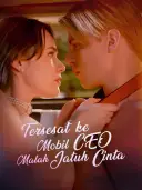 Tersesat ke Mobil CEO, Malah Jatuh Cinta cover art