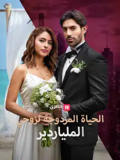 الحياة المزدوجة لزوجي الملياردير