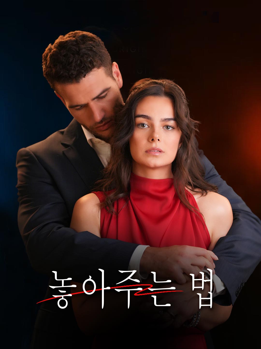 놓아주는 법 cover